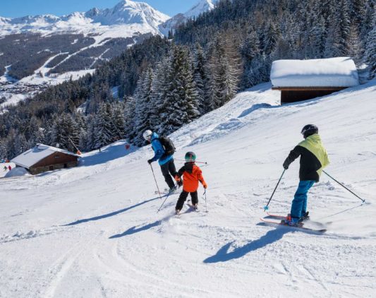 Ski holidays in La Plagne Les Coches