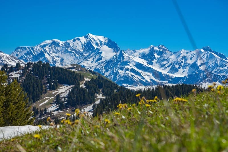 Les saisies