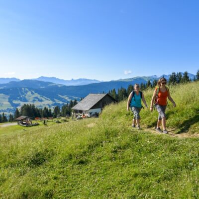 Val d'Arly en été. Savoie. France.