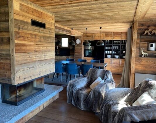 Cheminée - Chalet Ours à lunettes - Les Saisies