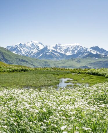 les saisies plan d'eau